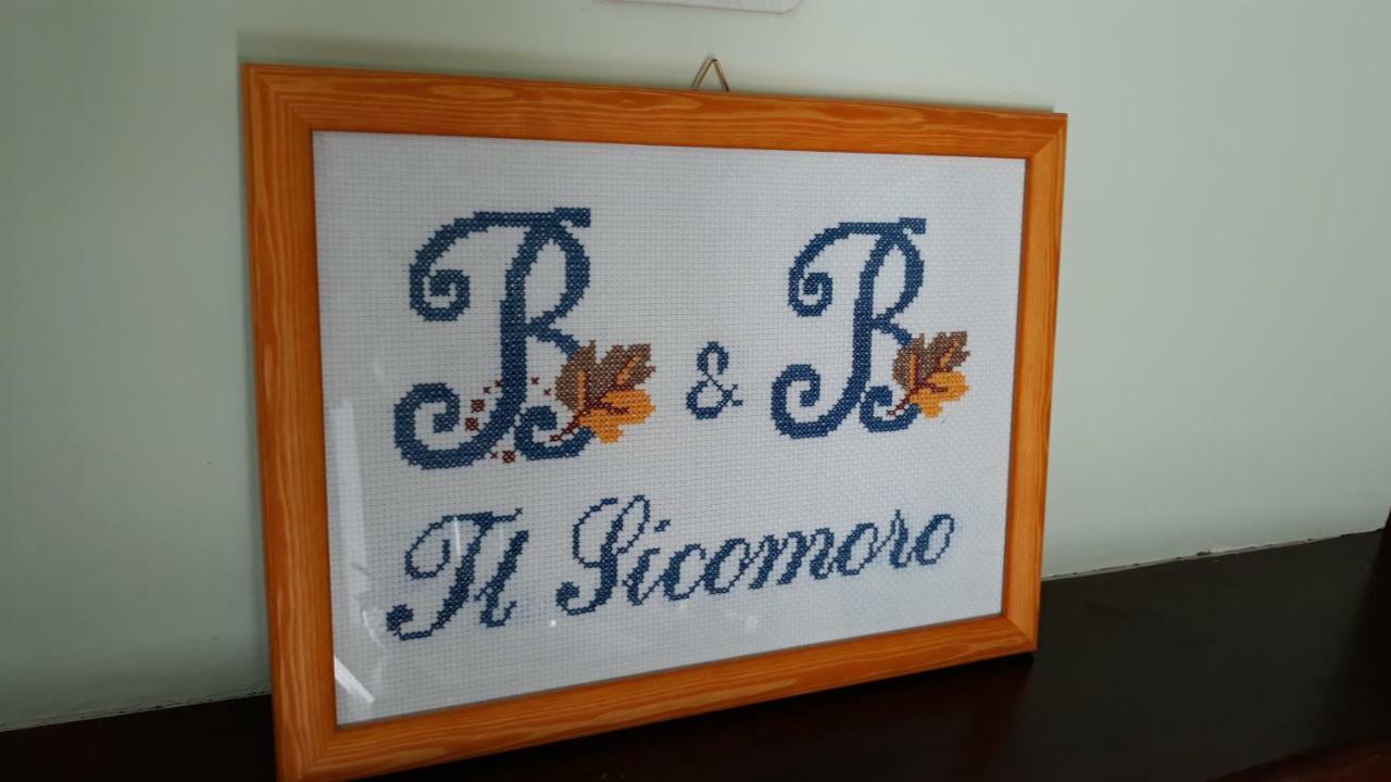 B & B Il Sicomoro Montecarotto Kültér fotó