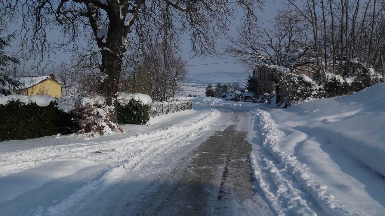 B & B Il Sicomoro Montecarotto Kültér fotó